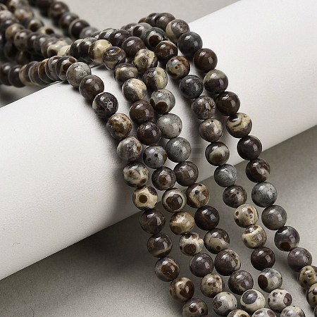 Natural Astroite Jasper Beads Strands G-F814-A01-4mm-1