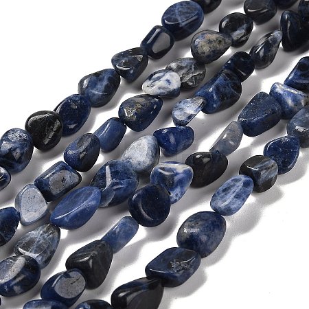 Natural Sodalite Beads Strands G-P497-01E-55-1