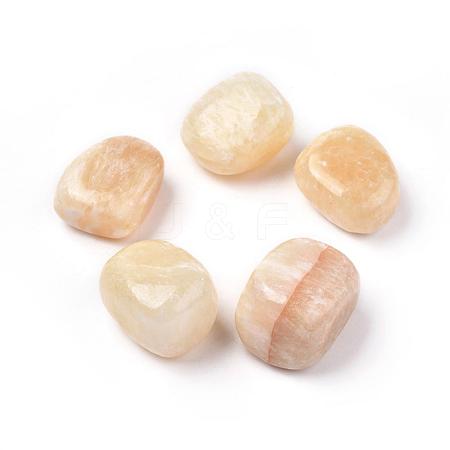5Pcs Natural Topaz Jade Beads G-FS0002-10-1