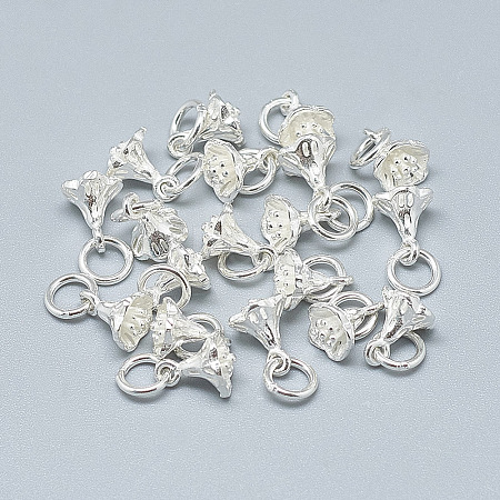 925 Sterling Silver Charms STER-T002-49S-1