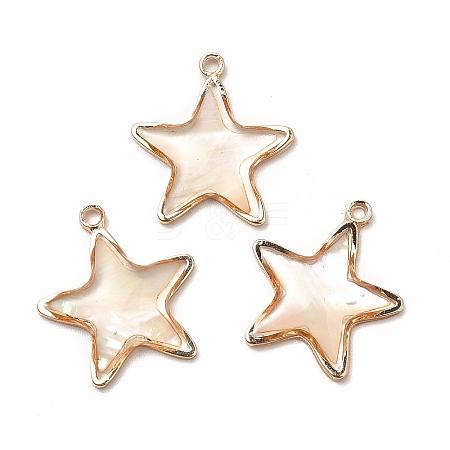 Brass Enamel Pendants KK-K252-10G-08-1