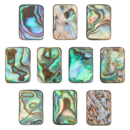 CHGCRAFT 10Pcs Natural Abalone Shell/Paua Shell Cabochons SSHEL-CA0001-06-1