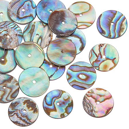 20Pcs Natural Paua Shell Beads SSHEL-BC0001-31-1