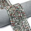 Natural African Bloodstone Beads Strands G-P575-B11-4x2mm-1