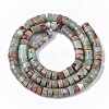 Natural Aqua Terra Jasper Beads Strands G-S366-012B-2