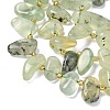 Natural Prehnite Beads Strands G-P604-A02-01-4