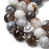 Natural Botswana Agate Beads Strands G-H334-A01-03-4