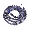 Natural Iolite Beads Strands G-S361-4mm-005-2