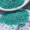 MIYUKI Delica Beads SEED-MY11-DB0759-1