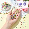 45G Baking Paint Glass Seed Beads SEED-SZ00001-021D-2