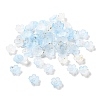 Acrylic Bead Caps OACR-Z028-03F-1