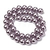 Electroplated Shell Pearl Beads Strands BSHE-G041-10mm-02-2