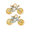 304 Stainless Steel Pendants STAS-D263-12A-G-1