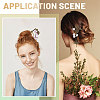 2Pcs Alloy Hair Sticks OHAR-CA00004-7