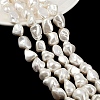 Shell Pearl Beads Strands BSHE-C008-01-2