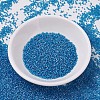 MIYUKI Delica Beads SEED-X0054-DB0862-2