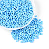 Baking Paint Glass Seed Beads SEED-N007-30A-1