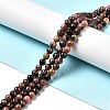 Natural Rhodonite Round Beads Strand G-E583-01A-4