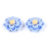Resin Decoden Cabochons CRES-T025-04C-1