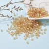 6/0 Glass Seed Beads SEED-YW0001-25K-5