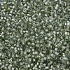 MIYUKI Delica Beads SEED-JP0008-DB2378-2