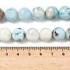 Natural Larimar Beads Strands G-C264-A01-12mm-5
