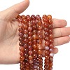 Natural Fire Crackle Agate Beads Strands G-G212-8mm-10-3
