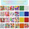 DIY Polymer Clay & Glass Seed & Acrylic Beads Making Finding Kits DIY-FS0006-38-2