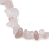 Natural Rose Quartz Anklets AJEW-AN00592-07-3