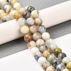 Natural African Opal Beads Strands G-B048-B03-02-2