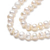 Natural Cultured Freshwater Pearl Beads Strands PEAR-N013-02D-4
