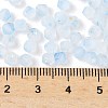 Frosted Glass Beads FGLA-D300-01K-4