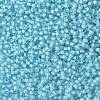 TOHO Round Seed Beads SEED-JPTR11-0976-2