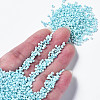 Glass Seed Beads SEED-S060-A-967-4