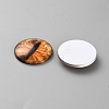 Mixed Animal Eye Pattern Glass Cabochons AJEW-WH0070-08A-2