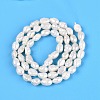 Natural Baroque Keshi Pearl Beads Strands LS-PEAR-N031-01C-3