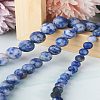 Yilisi 3 Strands 3 Style Natural Blue Spot Jasper Beads Strands G-YS0001-03-16