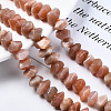 Natural Sunstone Beads Strands G-S376-007-4