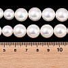 Electroplated Shell Pearl Graduated Beads Strands BSHE-C011-04-5