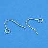 304 Stainless Steel Earring Hooks STAS-B047-31S-3