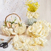 5 Yards Polyester Satin Chiffon Wavy Lace OCOR-CY0001-66B-3