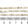 Natural Freshwater Shell Beads Strands BSHE-H109-13A-5