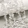 Natural Quartz Crystal Beads Strands G-P604-A22-01-1