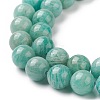 Natural Amazonite Beads Strands X-G-F461-12-6mm-01-3