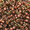 Glass Seed Beads X1-SEED-H002-B-D204-3