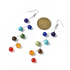 Natural & Synthetic Mixed Gemstone Round Beads Dangle Earrings EJEW-JE05377-2