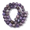 Natural Charoite Beads Strands G-C270-O02-10-3