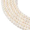 Natural Cultured Freshwater Pearl Beads Strands PEAR-C004-18B-4