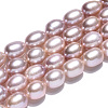 Natural Cultured Freshwater Pearl Beads Strands PEAR-N012-06W-3