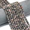 Frosted Natural Rhodonite Beads Strands G-K389-C42-01-1
